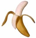 Den som kan skala en banan kan också genomskåda genusvansinnet. IQ-krav: 26